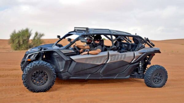 Evening Buggy Tour