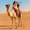 Short Safari Tour