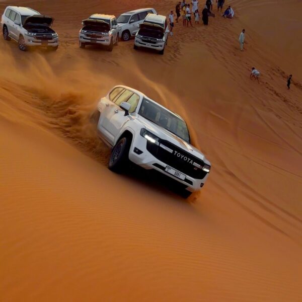 Safari Tour with Private car
