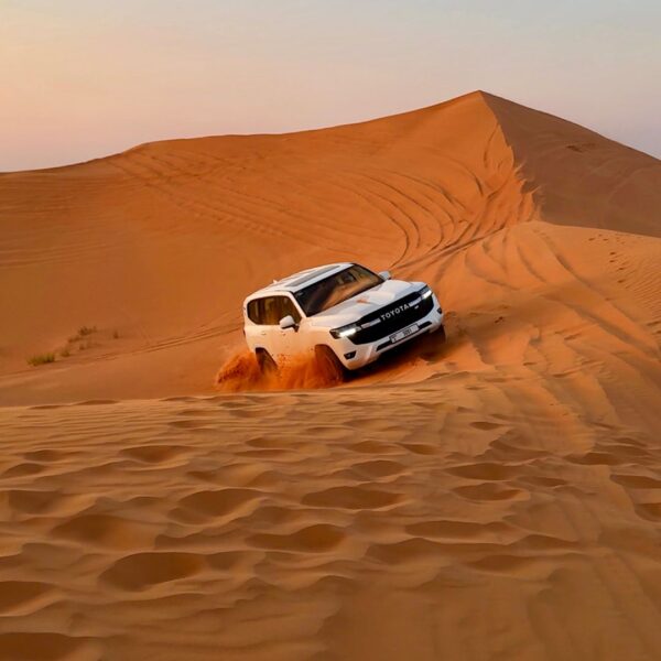 Safari Tour with Private car