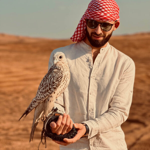 Safari Tour with Private car