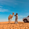 Safari Tour with Private car
