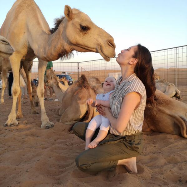 Short Safari Tour