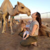Morning Safari Tour