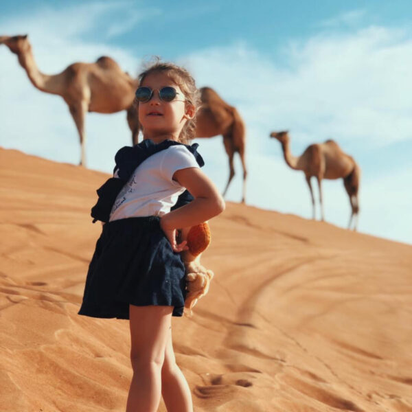Short Safari Tour