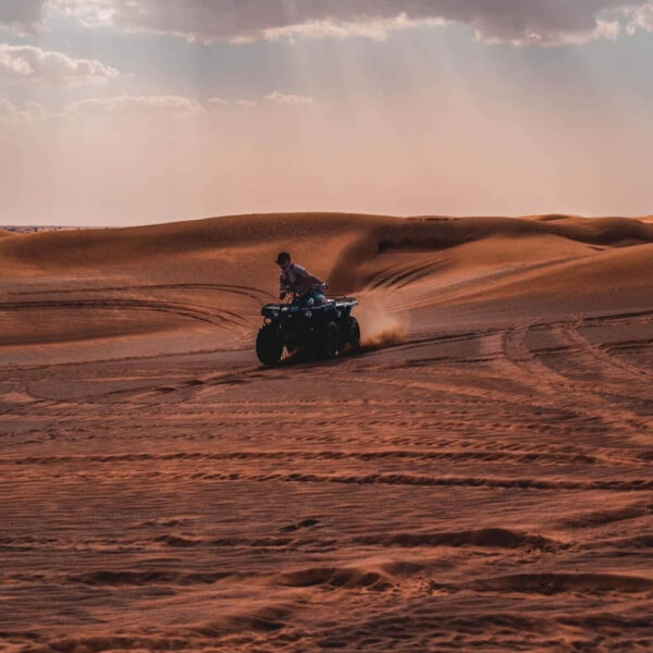 Al Royal Camp: Safari + Quad