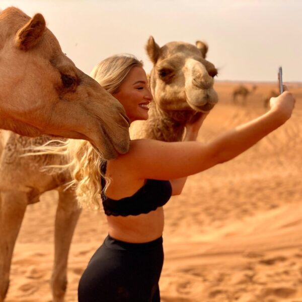 Morning Safari Tour