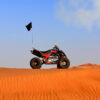 Raptor Morning Tour
