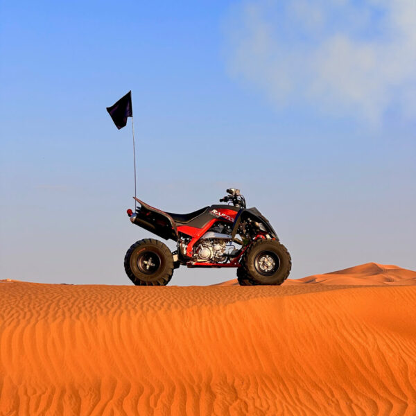 Raptor Morning Tour