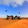 Raptor Evening Tour