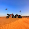 Raptor Morning Tour