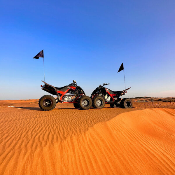 Raptor Morning Tour
