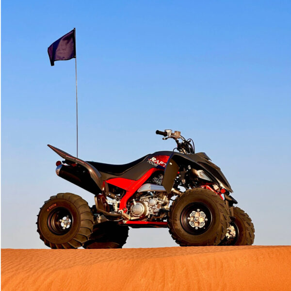 Raptor Morning Tour