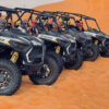 Two Hours Buggy Tour