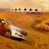 Short Safari Tour