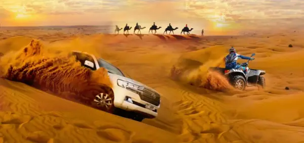 Short Safari Tour