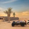 Safari Tour with Private car